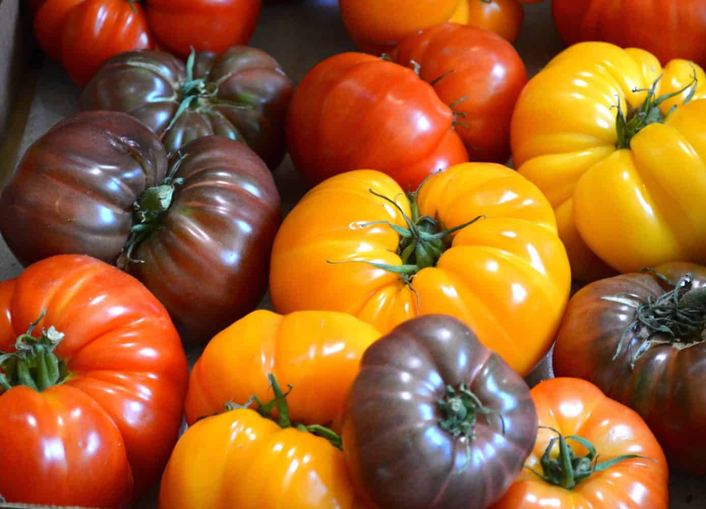 a variety of heirloom tomatoes