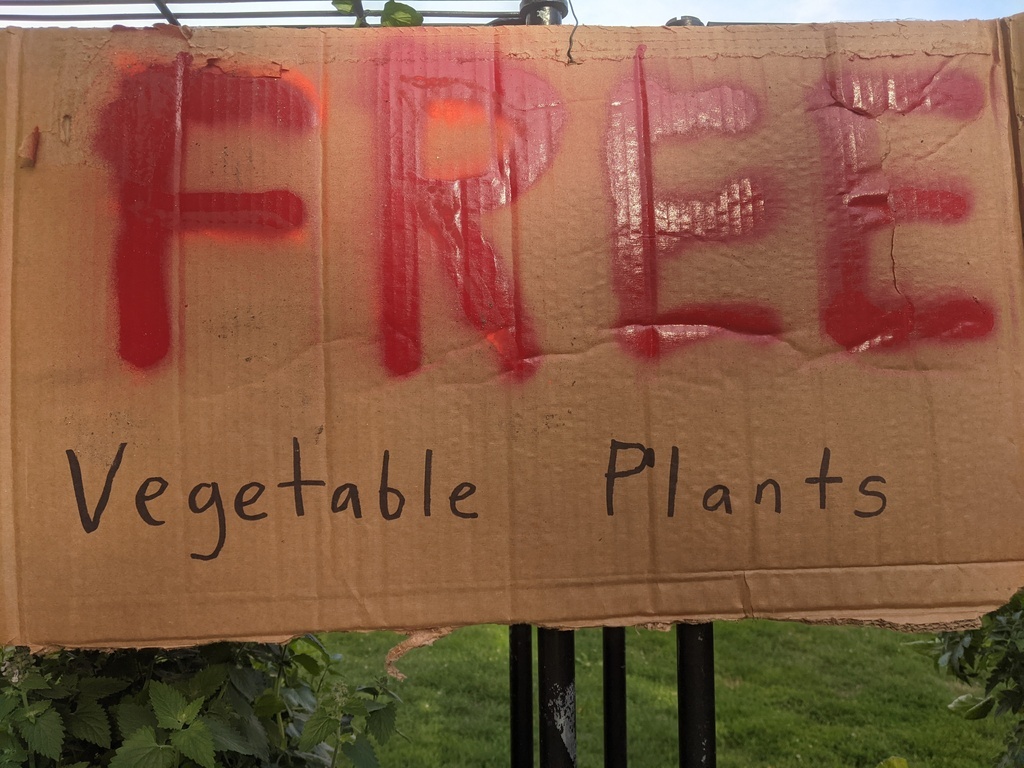 cardboard free plants sign