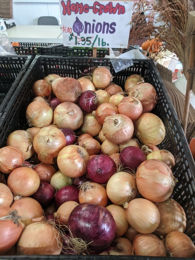 onions in a crate