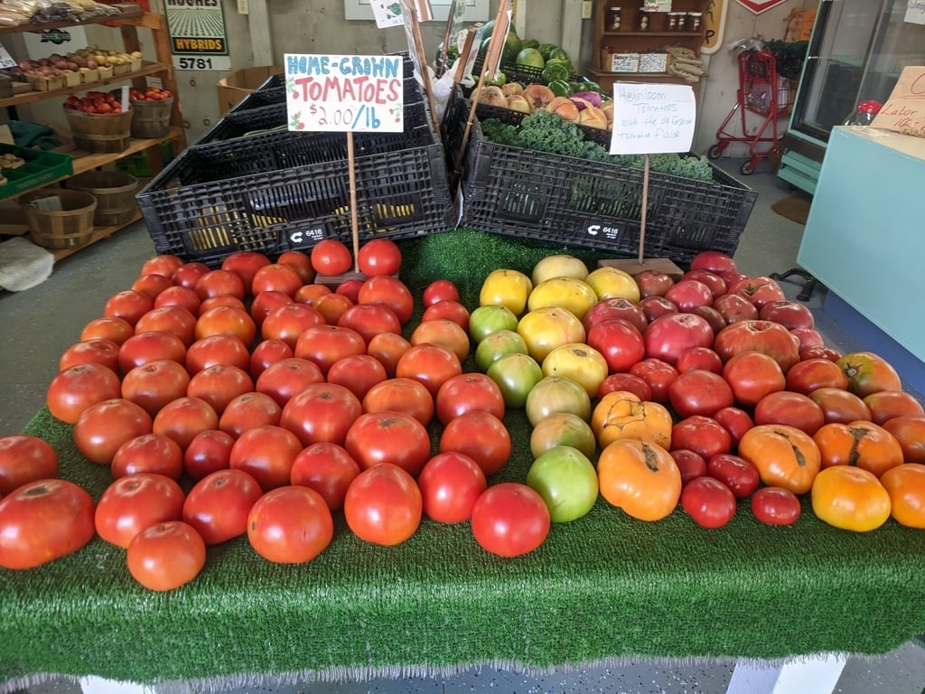 tomatoes on our market table